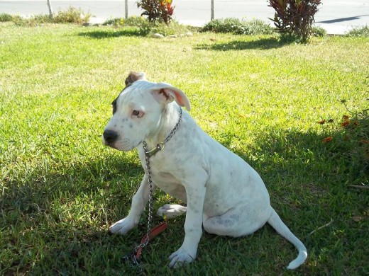 jugando en el parke