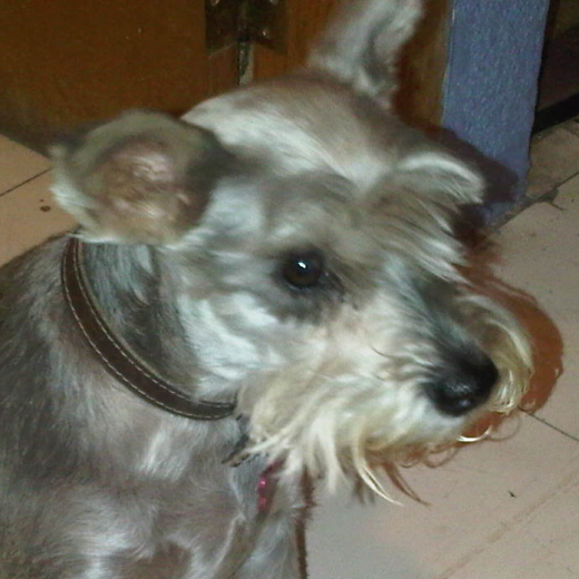 Viendo hacia la calle (: toy re bella!!! Viendo hacia la calle (: toy re bella!!!