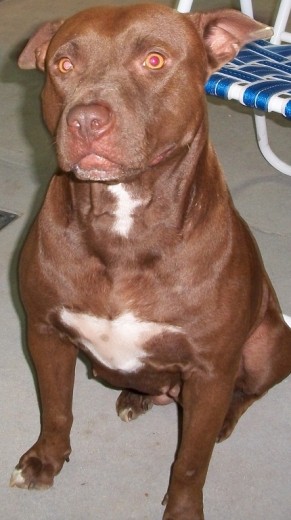 MI hermosa cande ...XD