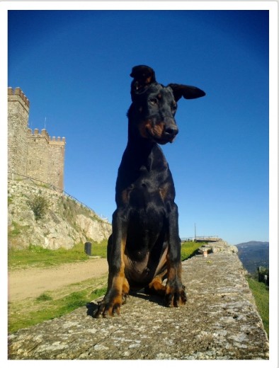 4 meses en el castillo de mi pueblo ... xdxd