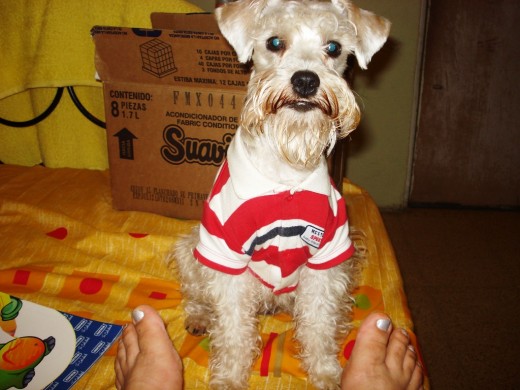 LISTO PARA DAR UN PASEO..... LISTO PARA DAR UN PASEO.....