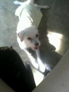 ya cansada despues de jugar :) ya cansada despues de jugar :)