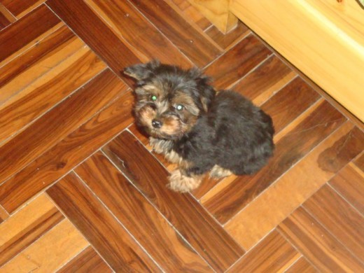 Cookie de 3 meses