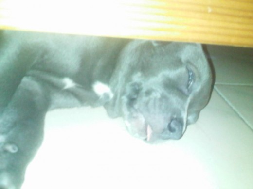 daddy durmiendo jajaja daddy durmiendo jajaja