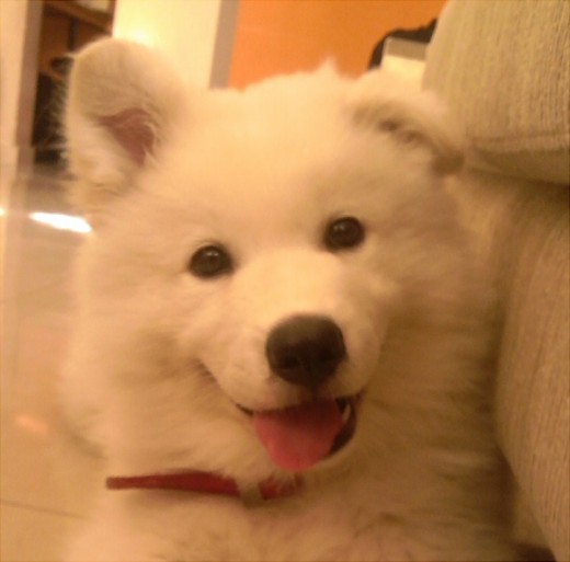 Faykrem a sus 2 meses Faykrem a sus 2 meses