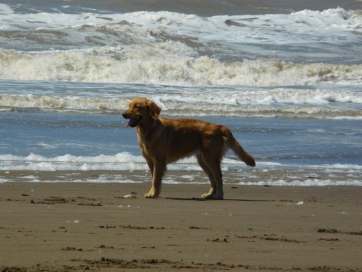 En la playa de vacaciones