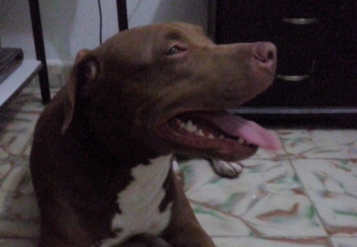 1 añito!! 1 añito!!
