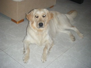 Noa, la Reina de la casa!!! Noa, la Reina de la casa!!!