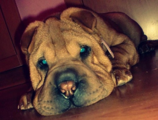 5 meses 5 meses