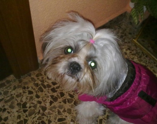 con su chaqueta! con su chaqueta!