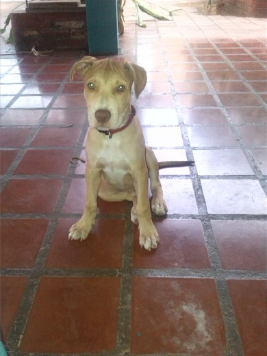 Cesar con 3 meses