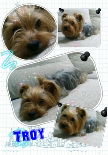Mi pequeño dormilon Mi pequeño dormilon