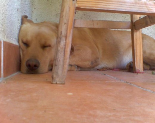 dormidito bn agusto, despues de una largo dia calurosoo =)