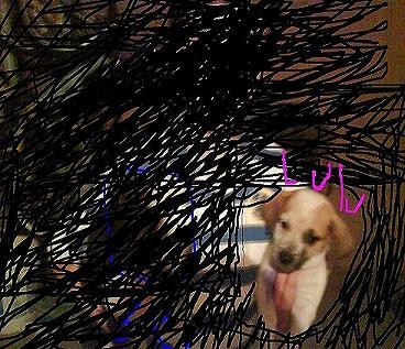 lulu =D vota por mi porfa