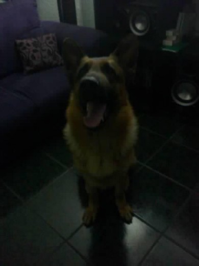 Goliath Goliath