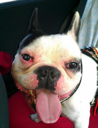 De paseo en el coche De paseo en el coche