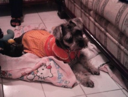 aqii Miaaa estaa acostadiitaa pOsandoo para una fotooooOO aqii Miaaa estaa acostadiitaa pOsandoo para una fotooooOO