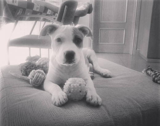 3 meses 3 meses