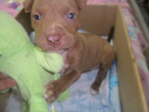 Con su peluche :) Con su peluche :)