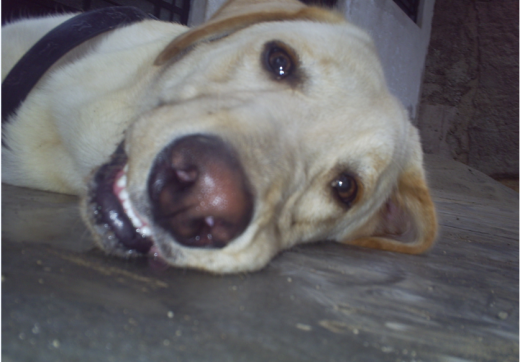 mi brandon despues de jugar
mi brandon despues de jugar
