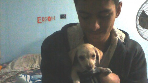 Marley bajo mi sueter en un día de frío. Le encanta estar calientito.