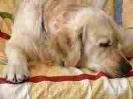 En mi cama -.- En mi cama -.-