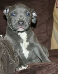 KEISY