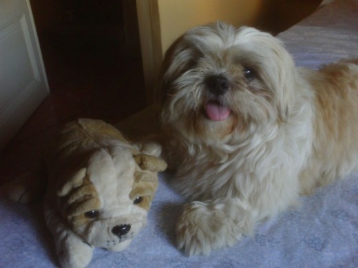 Con su perrito de peluche favorito