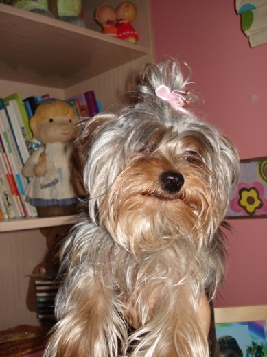 Mi niña chica ^^ (L) Mi niña chica ^^ (L)