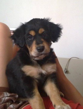 Kimy de pequeña Kimy de pequeña