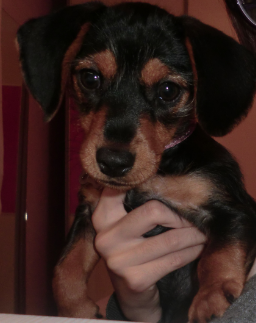 AQUÍ TENÍA UNOS 2 MESES.... AQUÍ TENÍA UNOS 2 MESES....