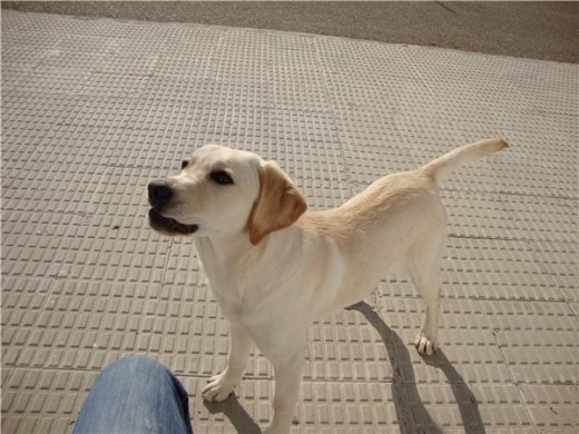 Aqui ESTÁ Angy Con 8 meses Esperando la pelota 