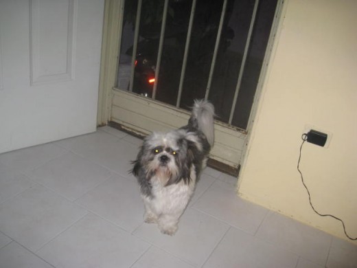 lucas cuando tenia el pelo un poco largo pero ahora lo tiene corto i luego subo mas fotos oks... lucas cuando tenia el pelo un poco largo pero ahora lo tiene corto i luego subo mas fotos oks...