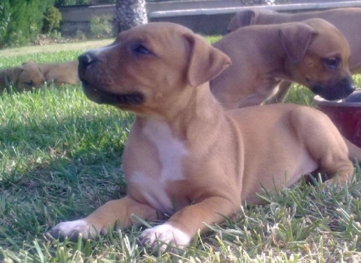 Tomando el Sol ( 2 meses ) Tomando el Sol ( 2 meses )