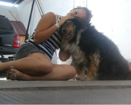 Ella es luna... vivio con nosotros 16 años,... yo tenia 2 o 3 años cuando llego a mi casa sentadita como una reina con el pecho blanco y con cara de cachorro travieso. Ella es luna... vivio con nosotros 16 años,... yo tenia 2 o 3 años cuando llego a mi casa sentadita como una reina con el pecho blanco y con cara de cachorro travieso.