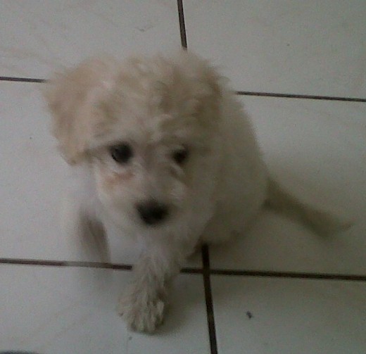 mi pequeñita luva