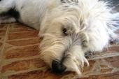 Nuestra peque!!!