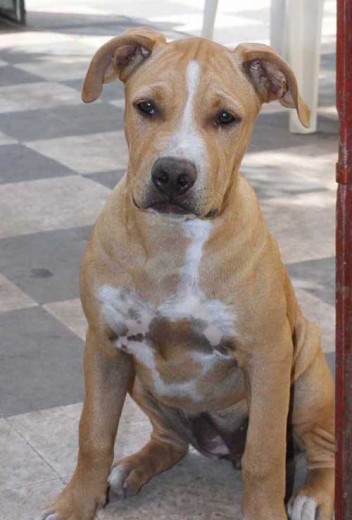 Mia 4 meses Mia 4 meses