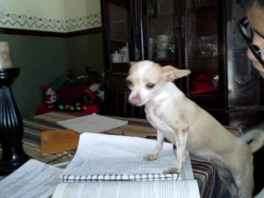 estudiando estudiando