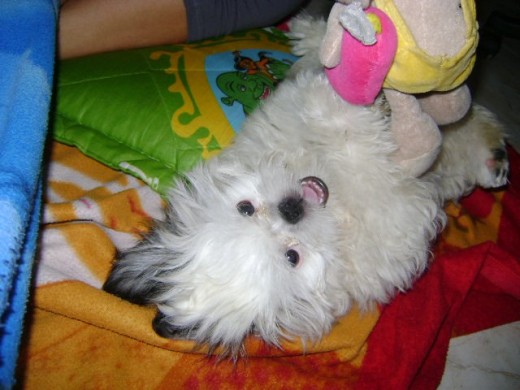 el es el bb de la casa :) el es el bb de la casa :)