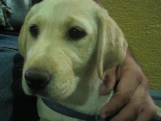 Mila 3 meses. Mila 3 meses.