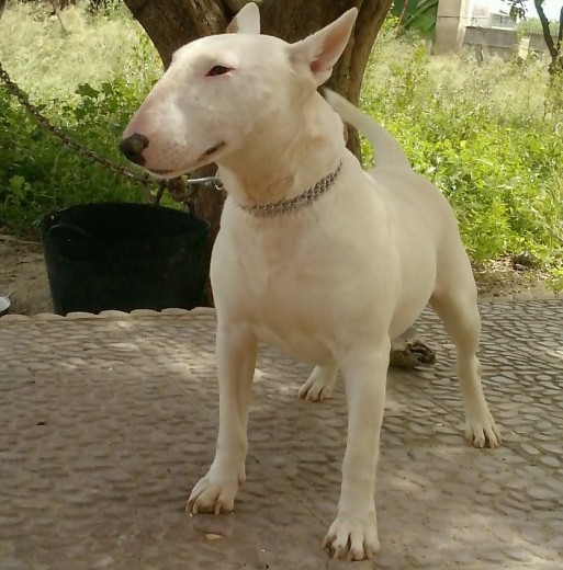 chula con 2 añitos!!