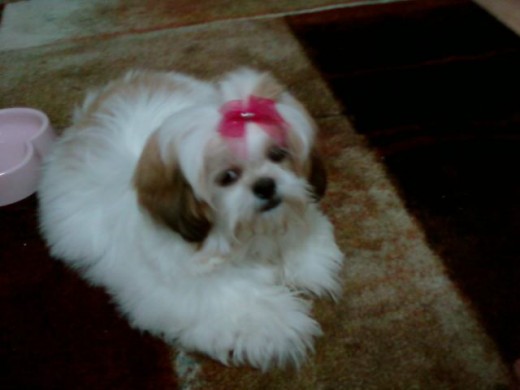 Linda tenia  6 meses.