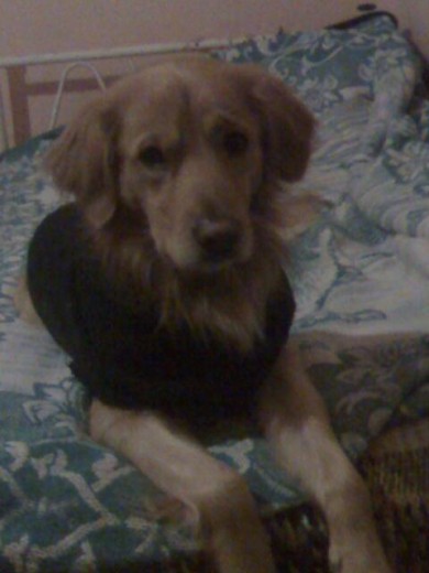 mi pochito bebe muy atento jeje lo kelo muxo mi pochito bebe muy atento jeje lo kelo muxo