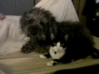 Cloe con Marea Cloe con Marea