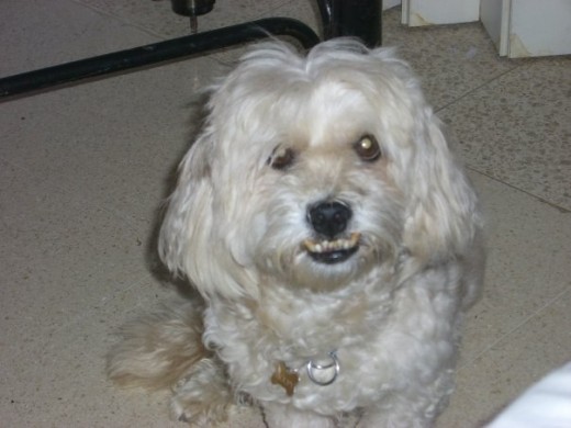 Floopy Alejandro Charry <3 Floopy Alejandro Charry <3