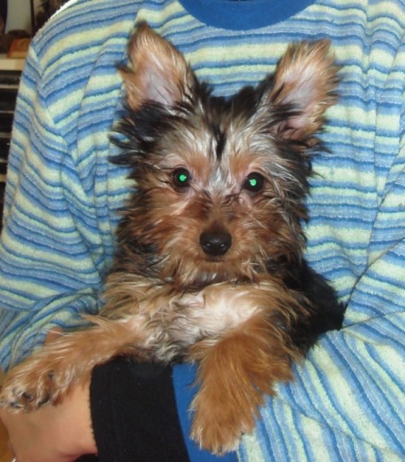 Nina cuando era mas pequeña!!