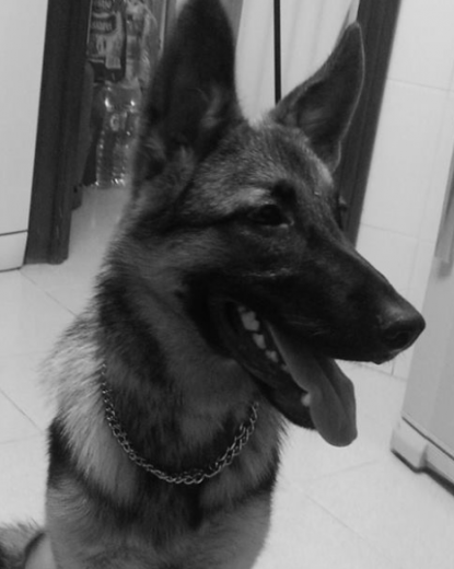 Mi Yuna... Mi Yuna...