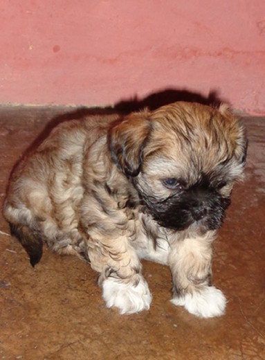 Aquí está mi bebe el día que me lo regalaron.. Lo amo <3 Aquí está mi bebe el día que me lo regalaron.. Lo amo <3