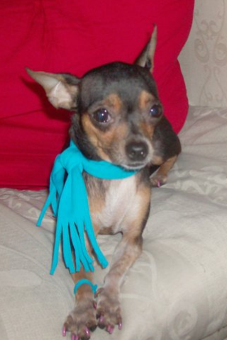 Me encanta modelar!!!! Me encanta modelar!!!!